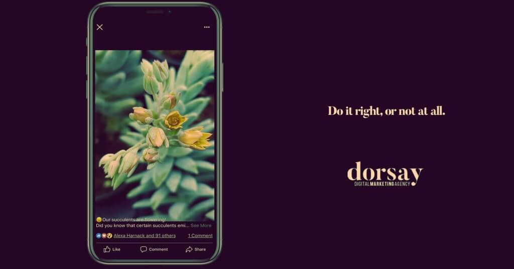 visual content is key - dorsay creative